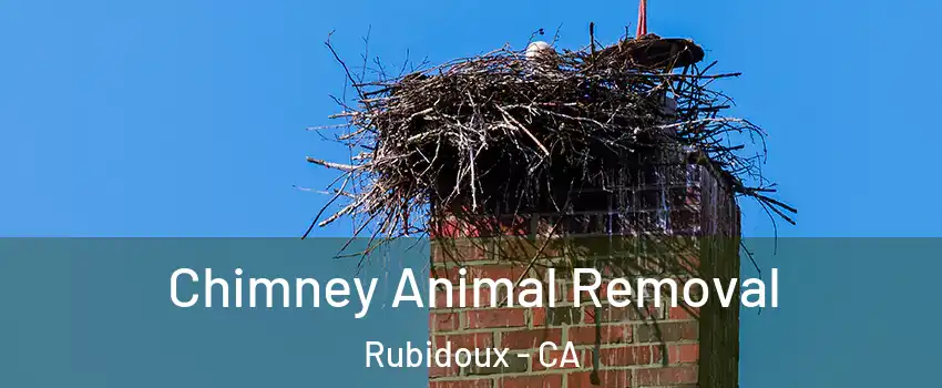 Chimney Animal Removal Rubidoux - CA