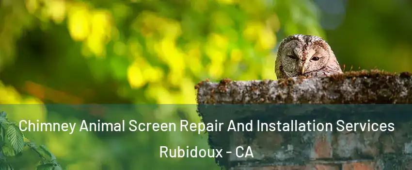  Chimney Animal Screen Repair And Installation Services Rubidoux - CA