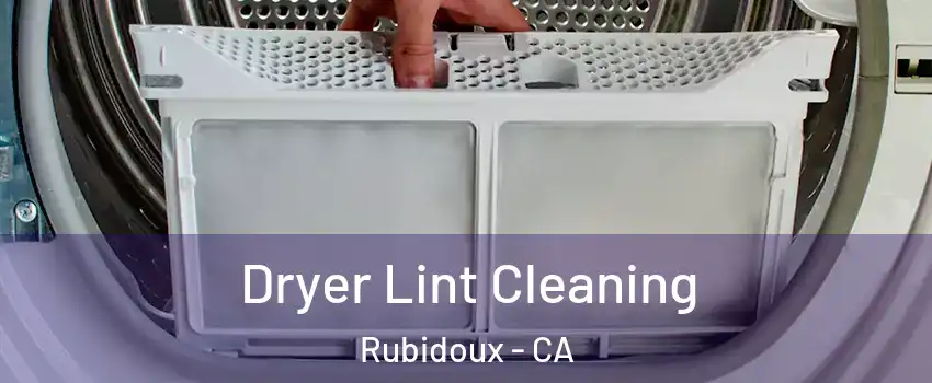  Dryer Lint Cleaning Rubidoux - CA