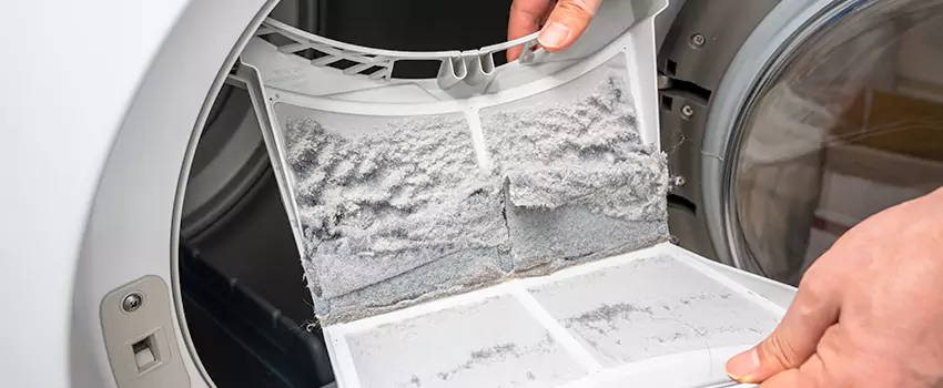 Best Dryer Lint Removal Company in Rubidoux, California