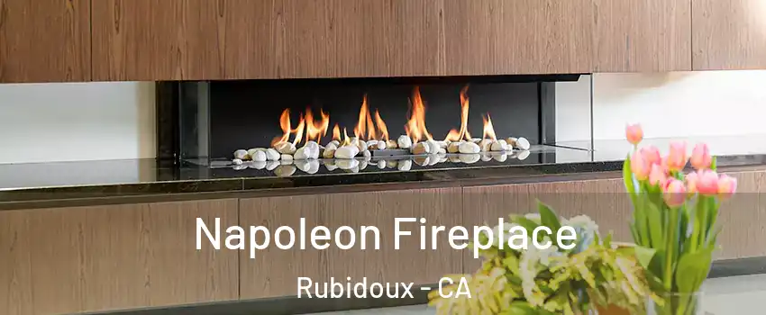  Napoleon Fireplace Rubidoux - CA